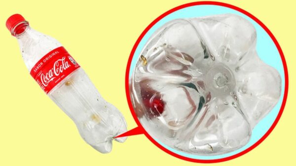 Tại sao hầu hết các chai nước ngọt bằng nhựa đều có cấu trúc hình cánh hoa ở đáy?