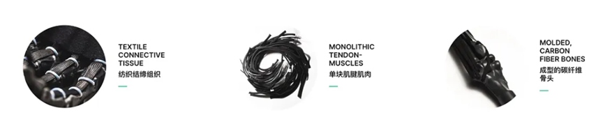 v2-acfc084155f9e4a4ccdcbe446a82a-1776139974604235919254 Sau bảy năm nghiên cứu giải phẫu cơ thể, công ty Ba Lan thành công chế tạo cánh tay robot sở hữu cơ bắp như con người, có thể nắm được 7 kg chỉ bằng một ngón tay - Ảnh 5.