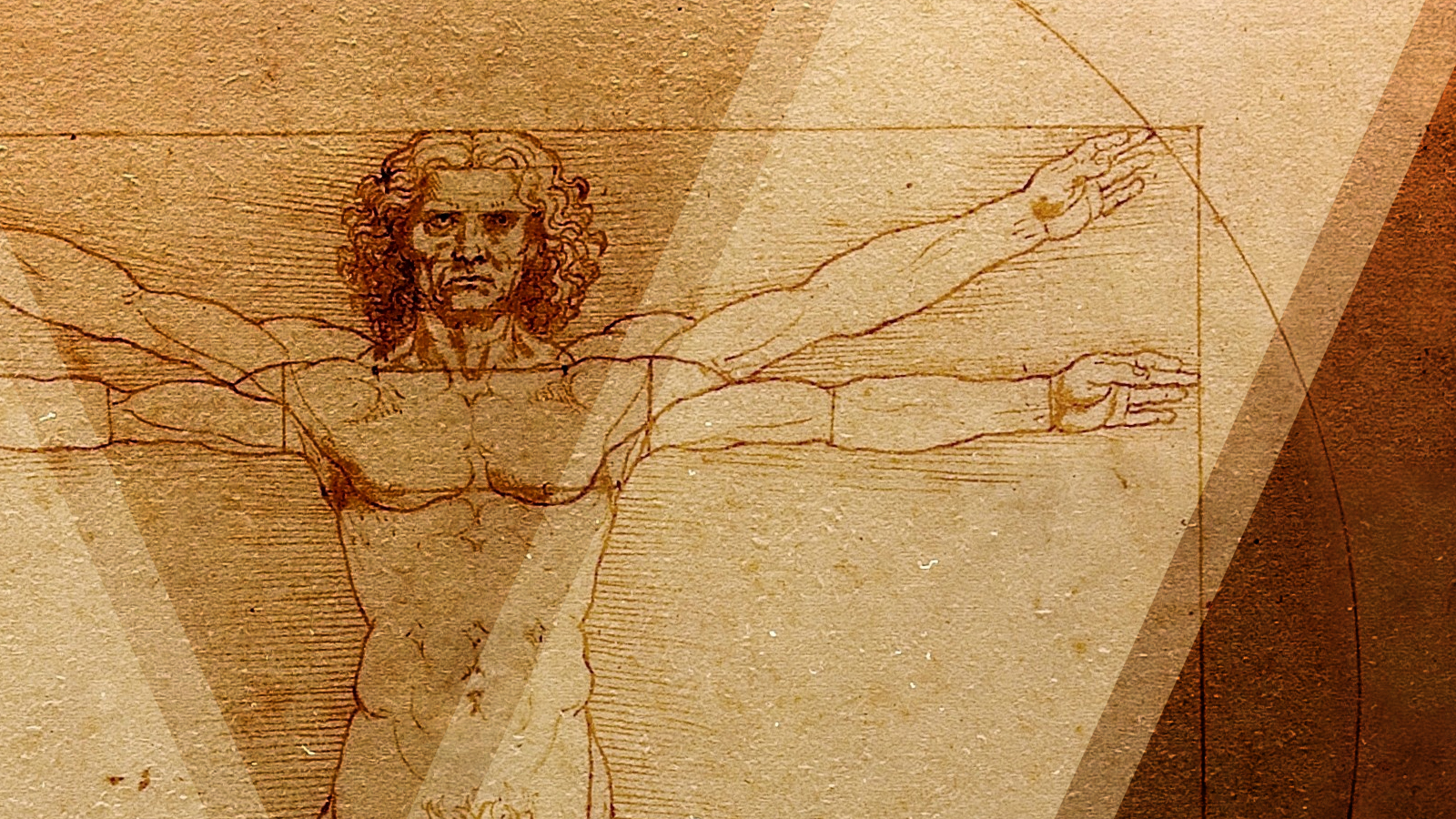 Hơn 500 năm sau Leonardo da Vinci, tỷ lệ cơ thể của đàn ông Việt có còn khớp với "Người Vitruvius"? - Ảnh 1.