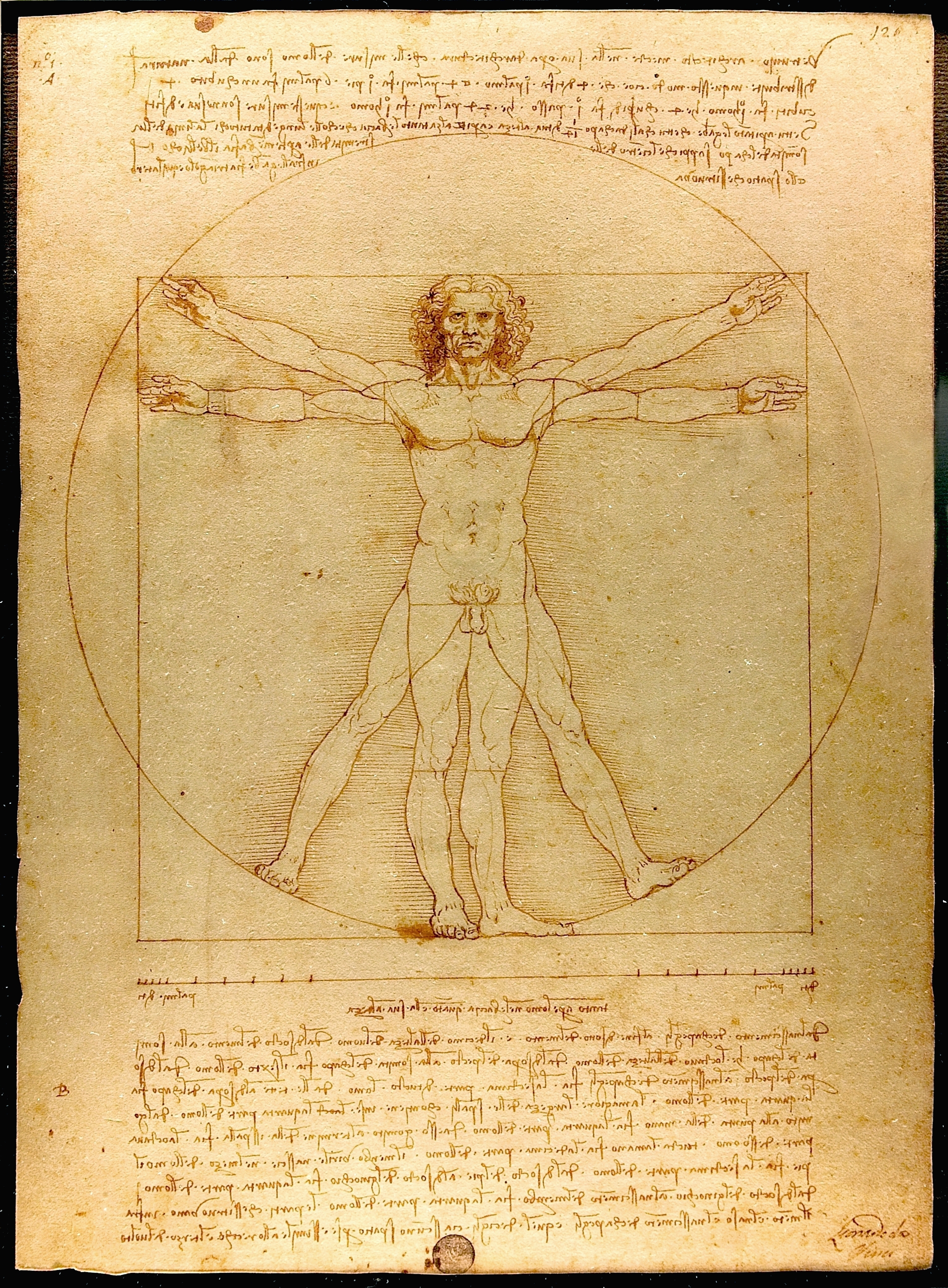 Hơn 500 năm sau Leonardo da Vinci, tỷ lệ cơ thể của đàn ông Việt có còn khớp với "Người Vitruvius"? - Ảnh 5.