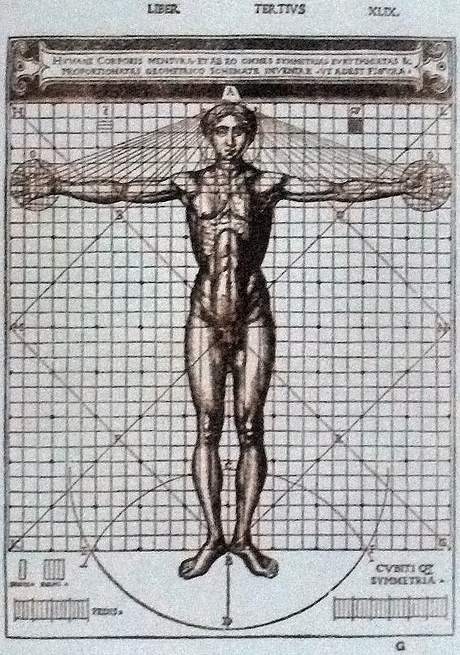 Hơn 500 năm sau Leonardo da Vinci, tỷ lệ cơ thể của đàn ông Việt có còn khớp với "Người Vitruvius"? - Ảnh 2.