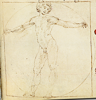 Hơn 500 năm sau Leonardo da Vinci, tỷ lệ cơ thể của đàn ông Việt có còn khớp với "Người Vitruvius"? - Ảnh 3.