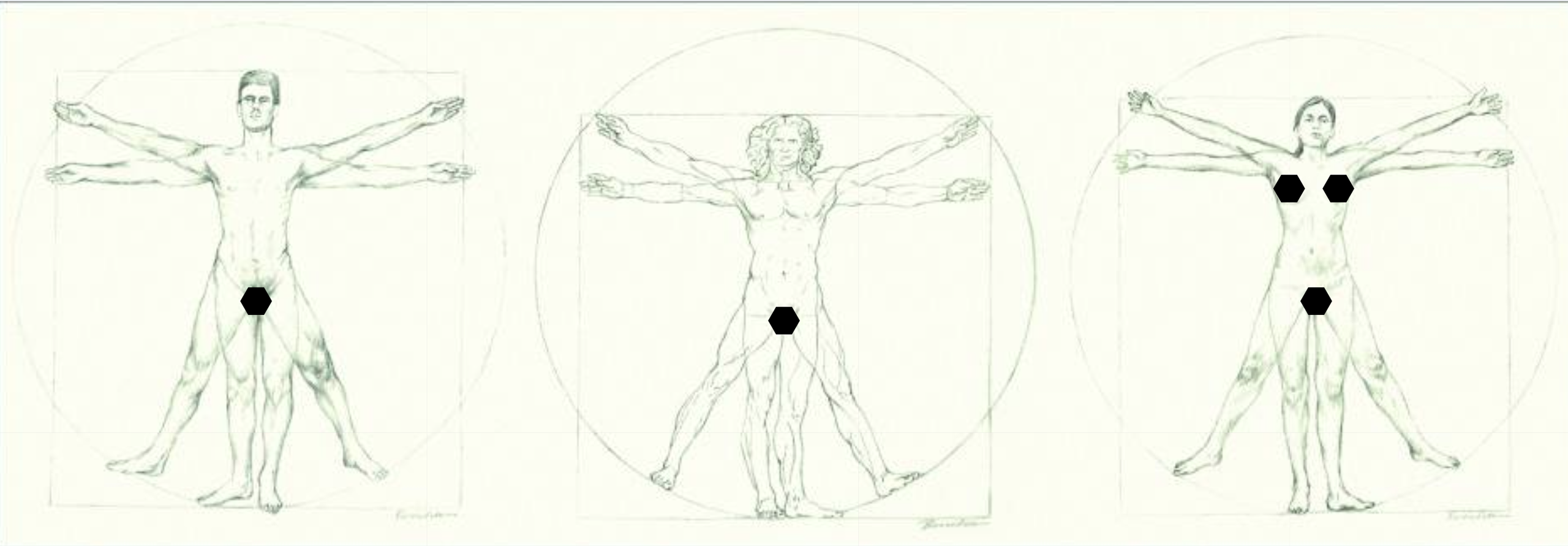Hơn 500 năm sau Leonardo da Vinci, tỷ lệ cơ thể của đàn ông Việt có còn khớp với "Người Vitruvius"? - Ảnh 6.