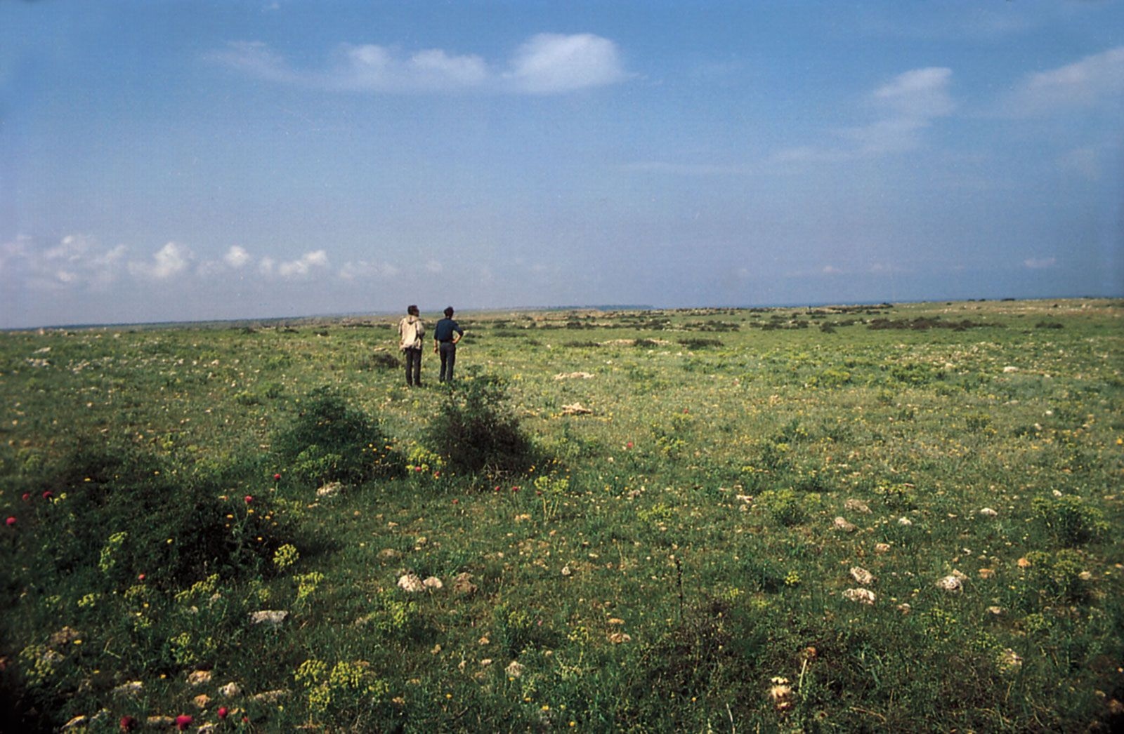 steppe-grasslands-point-kaliakra-1782449568710-1782449568923532968929