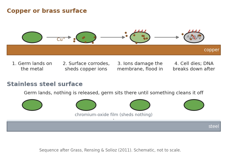 scalpels-stainless-not-copper-contact-killing-vs-1792383833460-1792383834229854289323